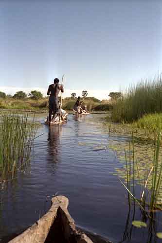 Chief island. Botswana