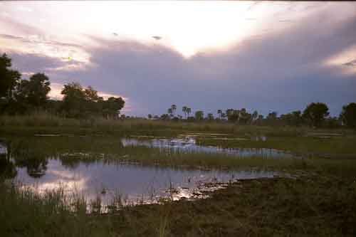 Okavango river