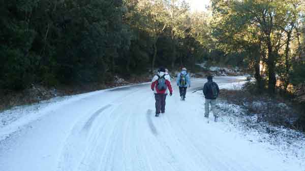 camí turó montgròs