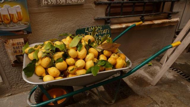 Llimones ecològiques a Monterrosso