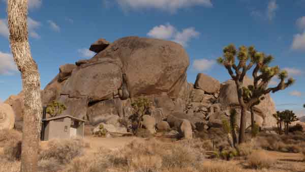 Parc de Joshua Tree