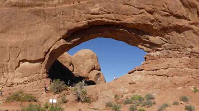 Arches. Windows section