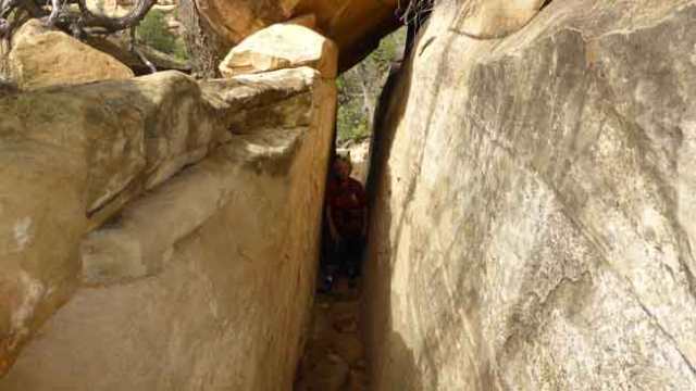 Mesa Verde. Camí als petroglifs