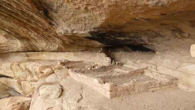 Mesa Verde. Camí als petroglifs