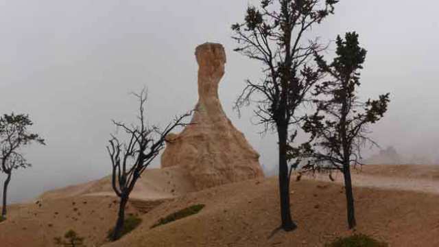 Queen gardens. Bryce