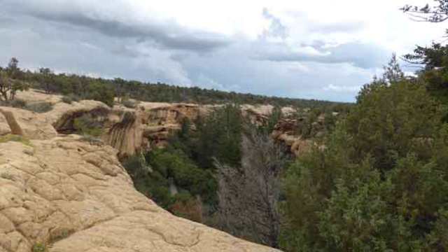 Mesa Verde. Petroglif Point