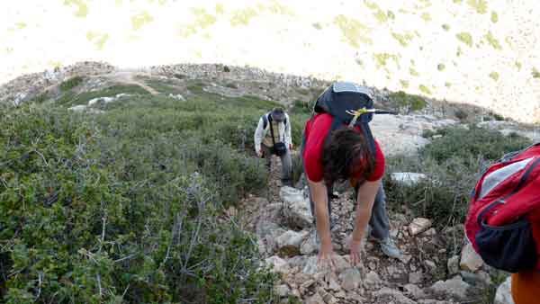 Grimpant per pujar al castell