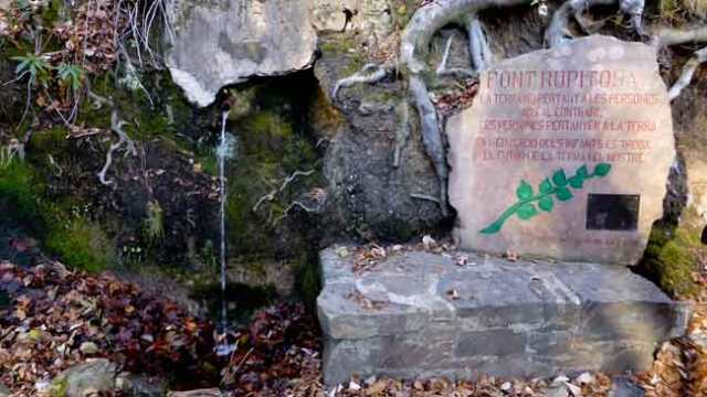 Font de la Rupitosa