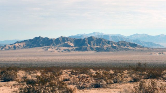 Desert de Mojave