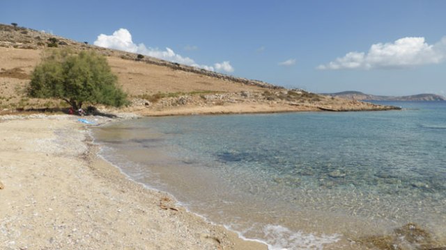 Cala de Fontana. Sxinusa