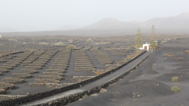 Casa Diama. La Geria. Lanzarote