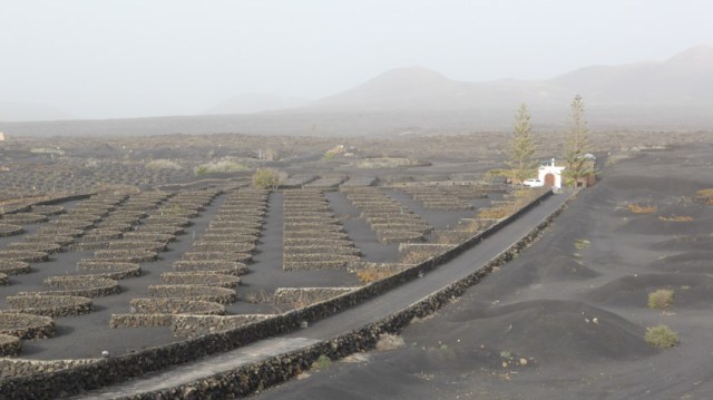 Casa Diama. La Geria. Lanzarote