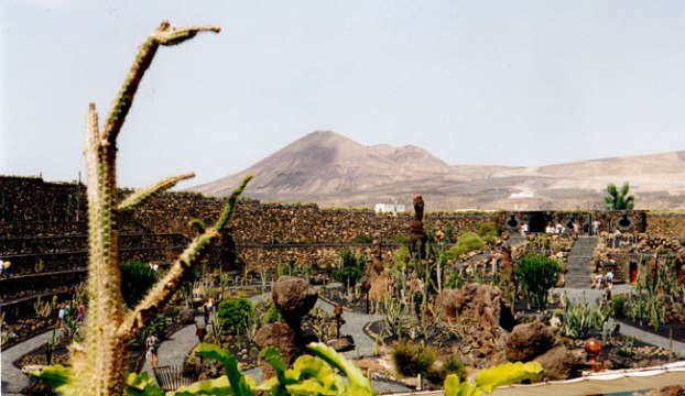 Jardi de cactus. Lanzarote