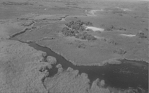 Okavango delta. Botswana