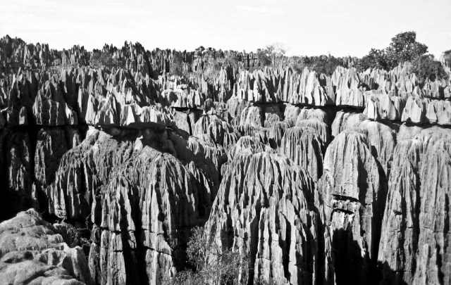 Grans Tsingys. Madagascar