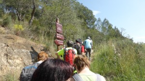 Pas de Barrufemes, a mig camí entre Benifallet i Miravet