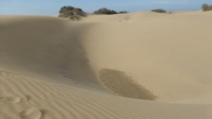 Dunes de Maspalomas. Gran Canaria