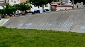 Riu Ebre a Miravet. Lo riu és vida