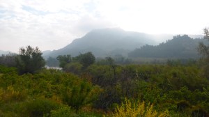 Riu Ebre. Benifallet