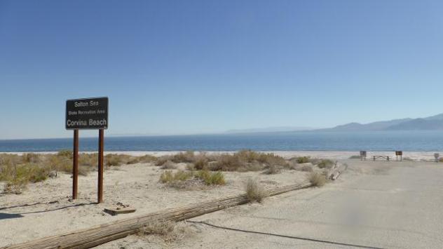 Corvina beach. Salton Sea