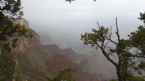 Gran Canó Sud. Scenic Hermit Trail
