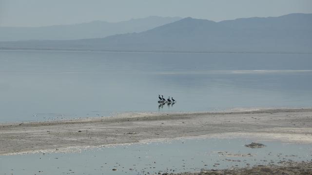 Llac Salton
