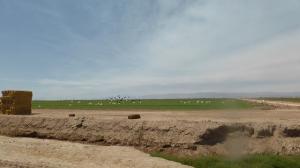 Sonny Bono Salton Sea