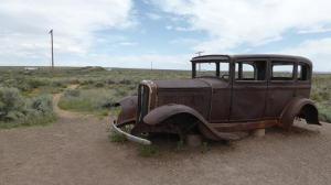 Stidebaker. Bosc Petrificat