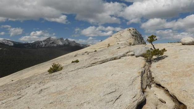Lembert Dome. Yosemite