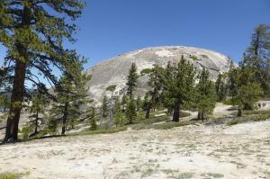Sentinel Dome. Yosemite