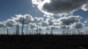 Grand Canyon Rim North