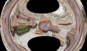 Petrified Forest. Arizona