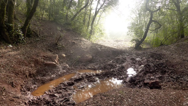 Camí al turo del ros