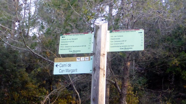 Camí al turo del Ros