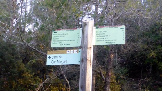 Camí al turo del Ros