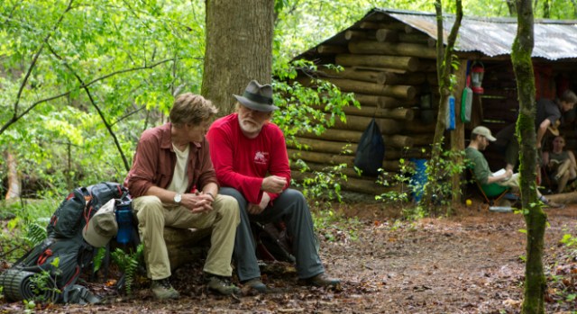 Un paseo por el bosque