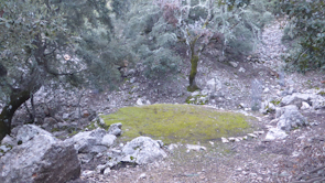 Carbonera. Serra Tramuntana. Mallorca