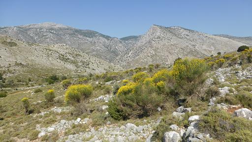 Koulala Valley. Chios
