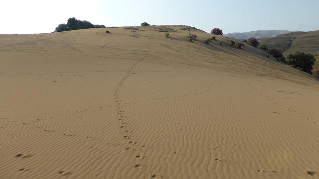 Dunes Limnos cap agrilia