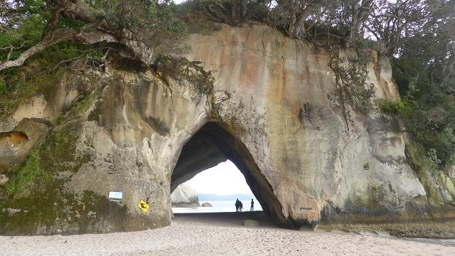 cathedral-cove-nz