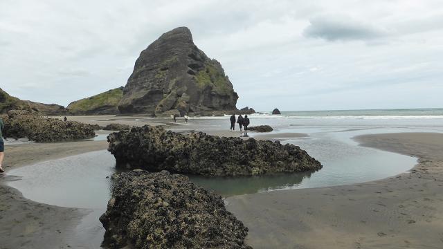 piha-auckland