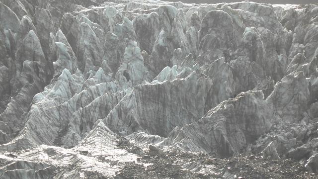 glaciar-fox-detall-nz