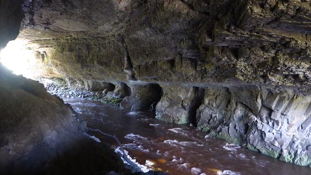 oparara-arch-new-nealand