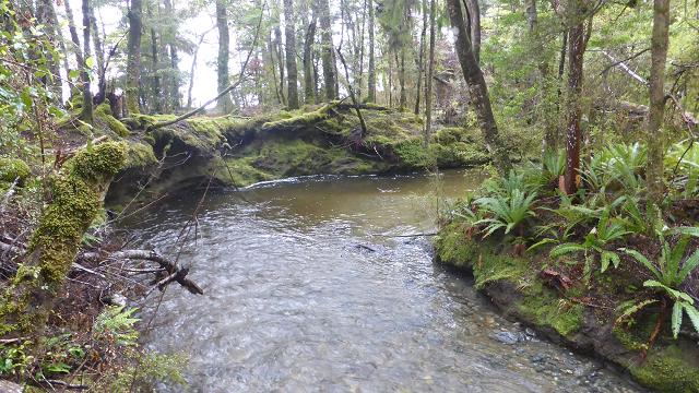 kepler-trach-te-anau-brod-bay-nz