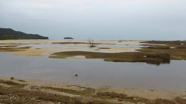 marahau-abel-tasma-np-nz