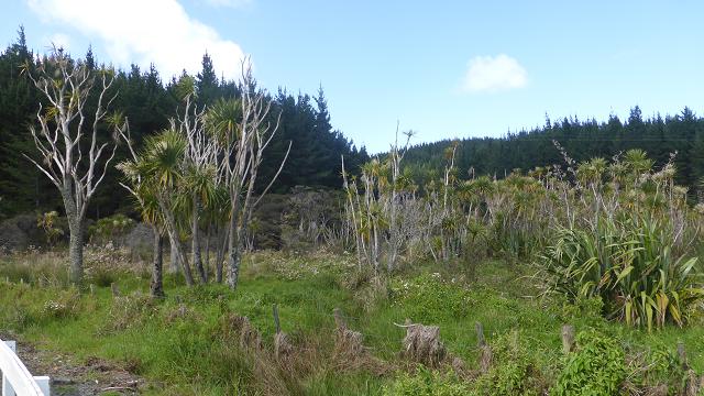 peninsula-coromandel-nz