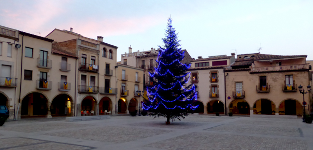 Amer. Plaça de la Vila