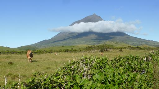 Pico açores