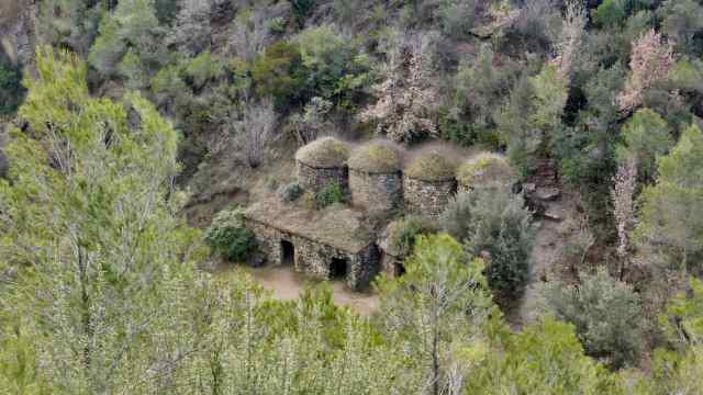 vista tines escudelleta