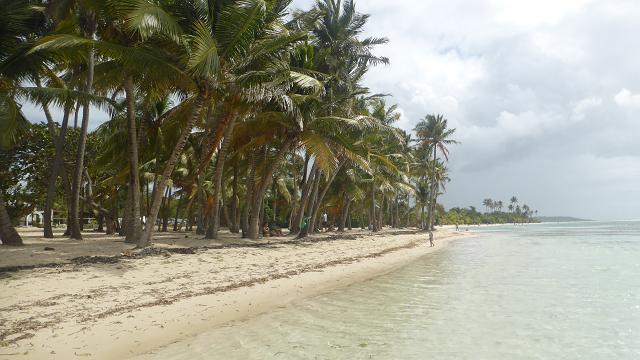 plage bois julan, sante anne guadeloupe
